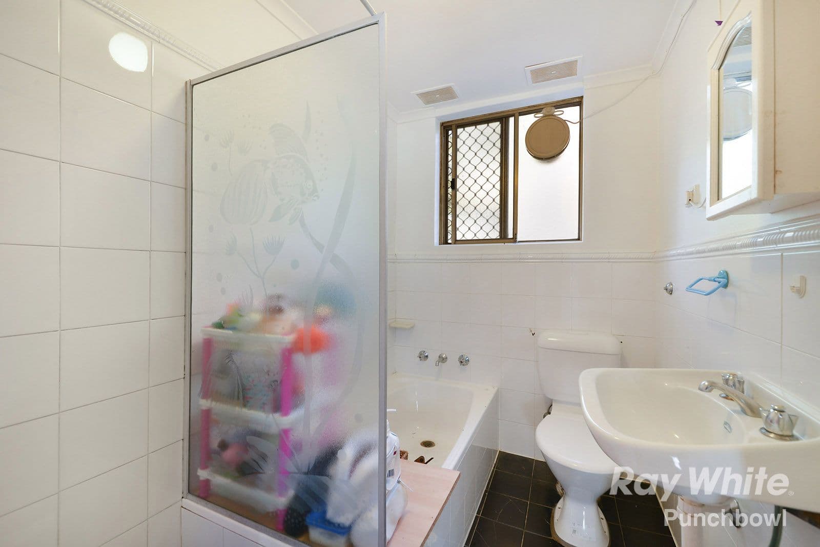 18 Minter Street, Canterbury NSW 2193, Canterbury - Thumbnail 4
