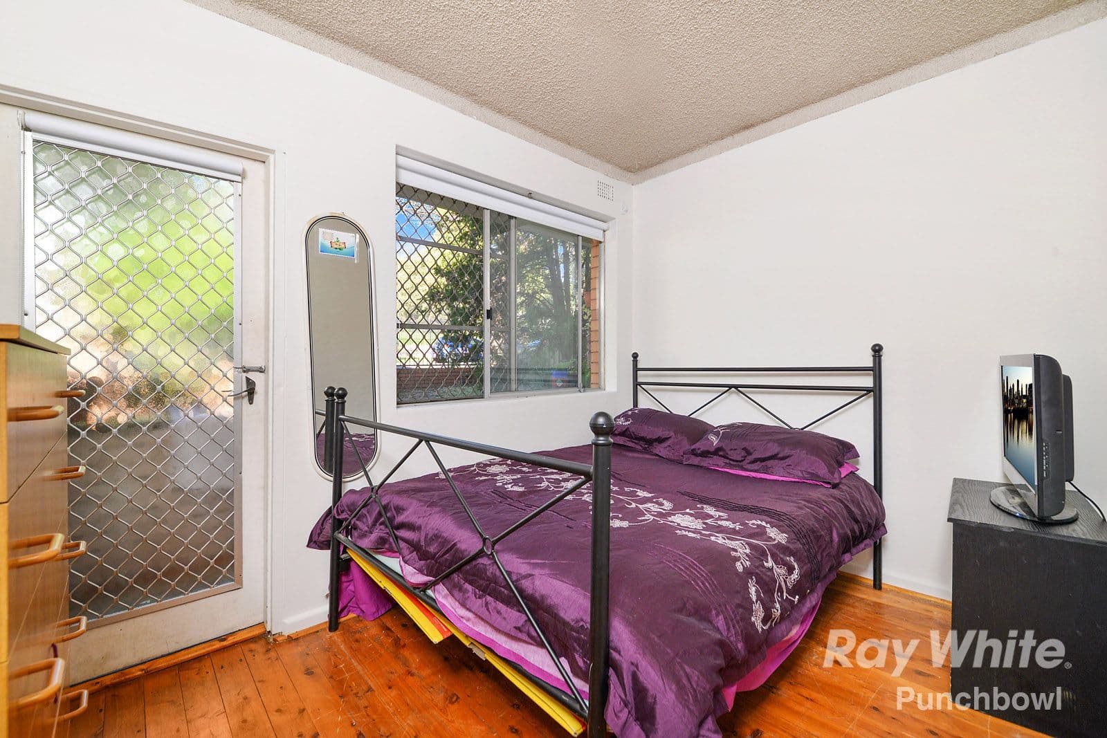 18 Minter Street, Canterbury NSW 2193, Canterbury - Thumbnail 5