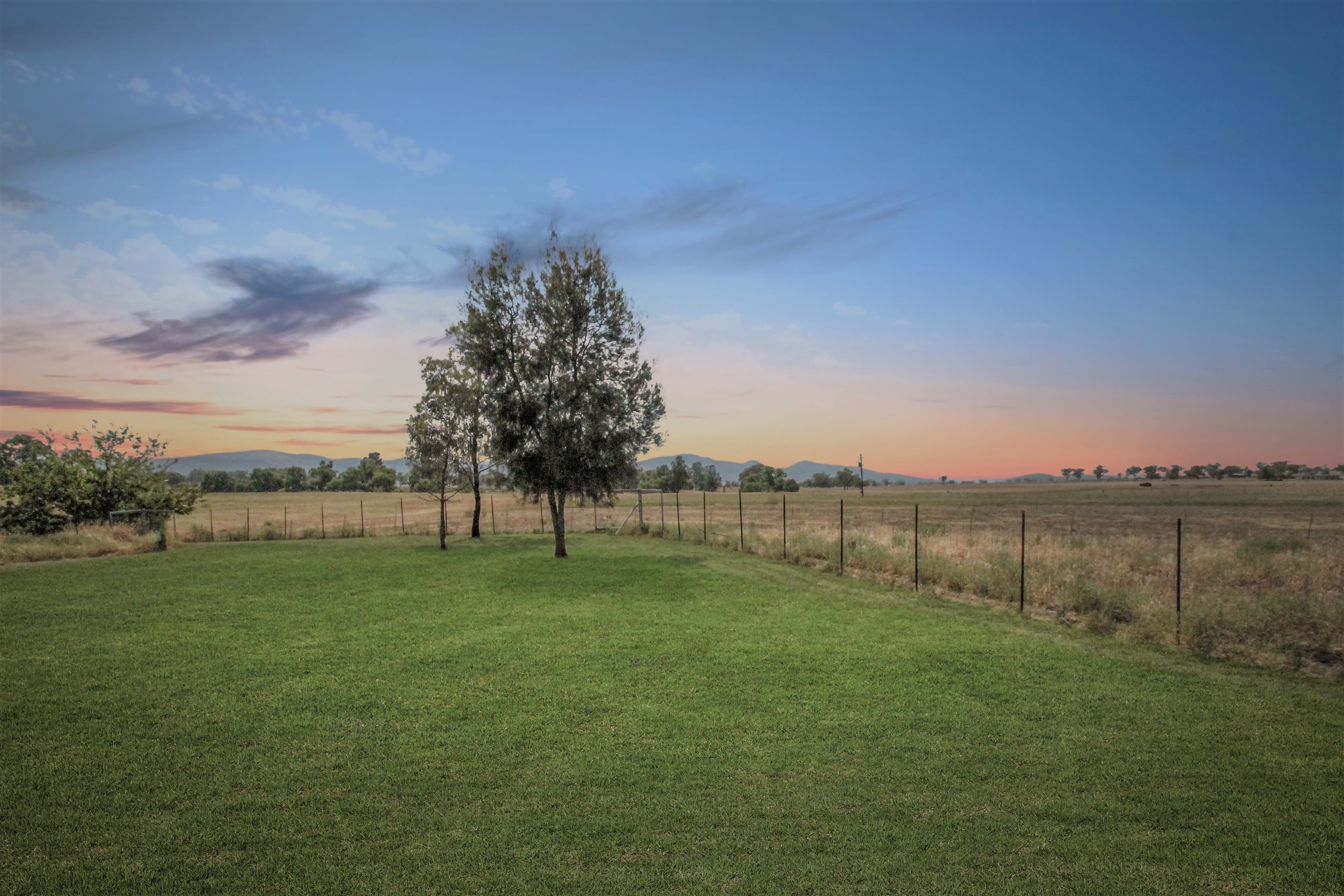 11 Mccarthy Place, Quirindi - Thumbnail 3