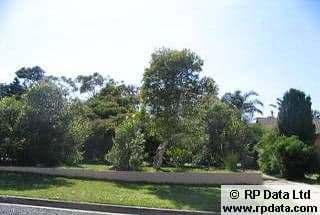 16 Beachcomber Avenue, Bundeena NSW 2230, Bundeena - Thumbnail 6