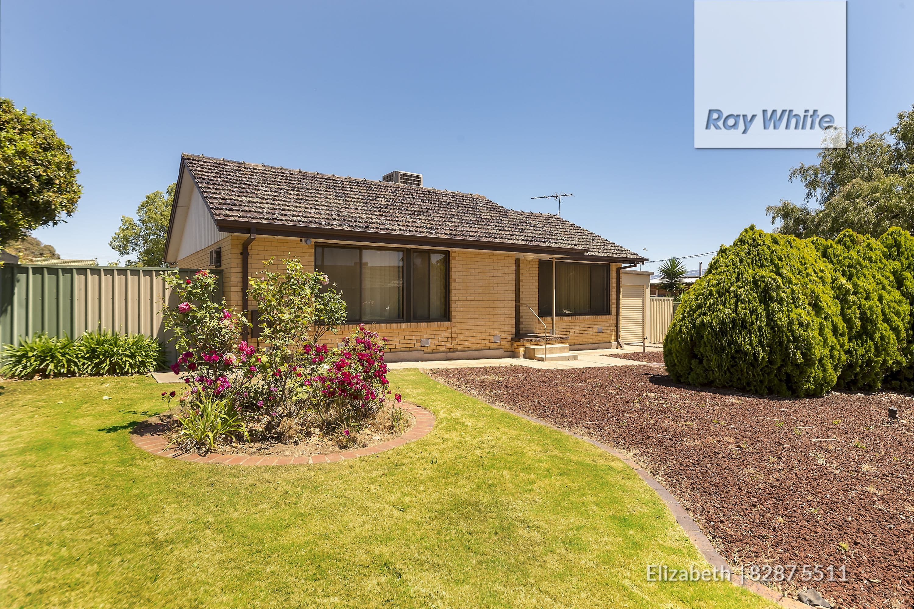18 Horton Street, Elizabeth Park SA 5113, Elizabeth Park - Image 1
