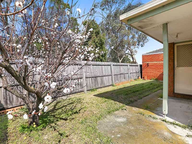 24 Jasmine Street, Bell Park VIC 3215, Bell Park - Thumbnail 6