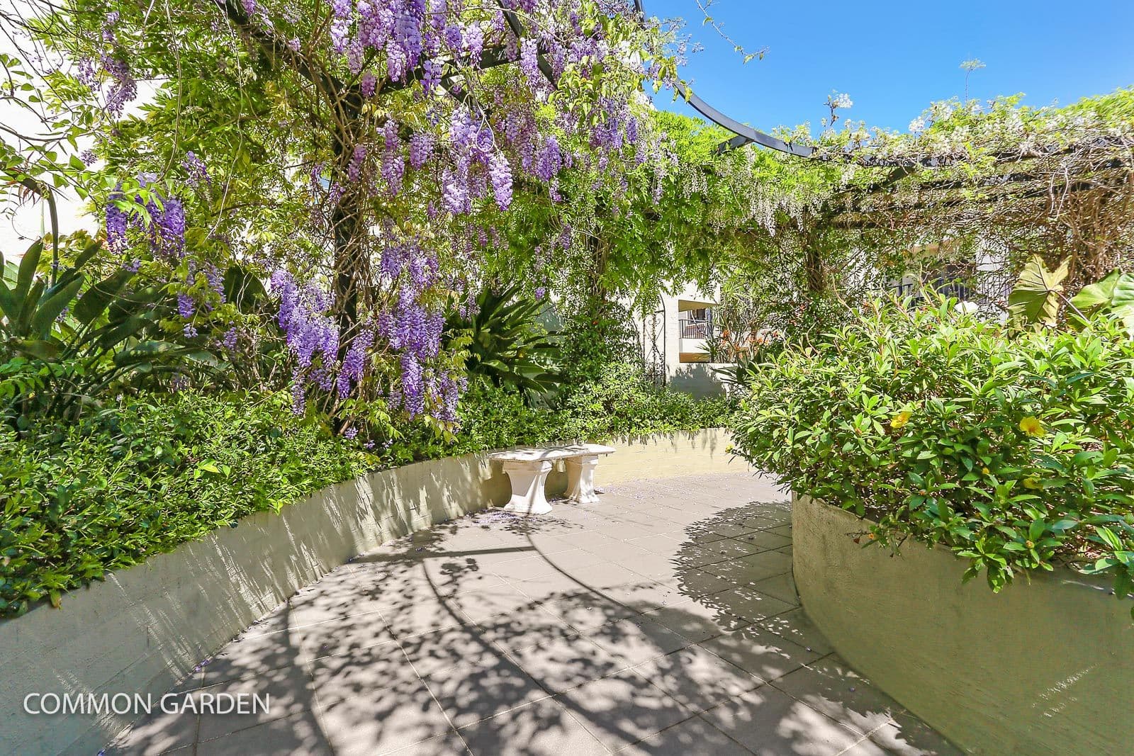 73 Banksia Street, Botany NSW 2019, Botany - Thumbnail 4