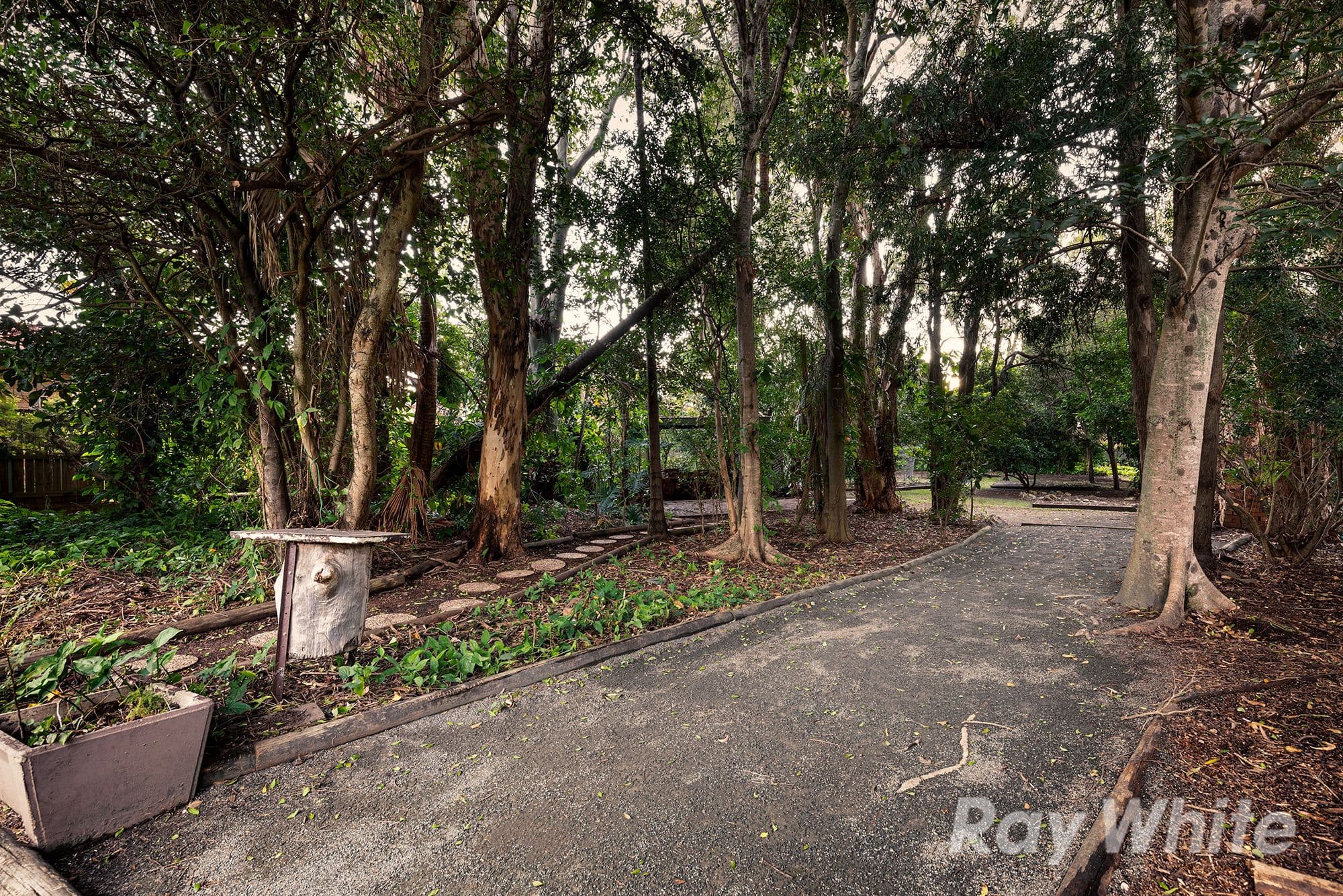 288 Handford Road, Taigum QLD 4018, Taigum - Thumbnail 6