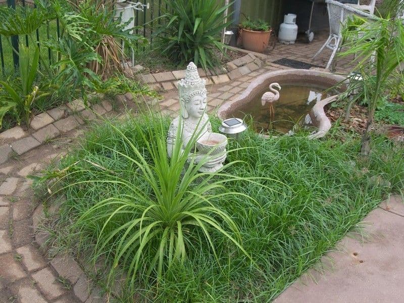 38 Todd Road, PARA HILLS SA 5096, Para Hills - Thumbnail 5