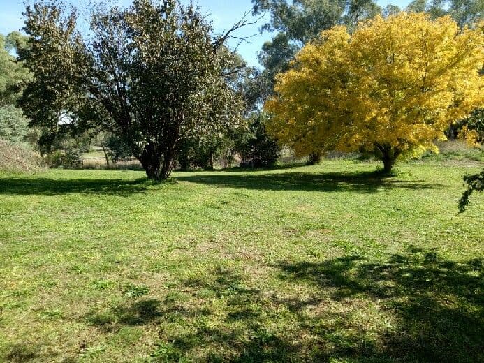 16 Church Street, Cudal NSW 2864, Cudal - Image 1