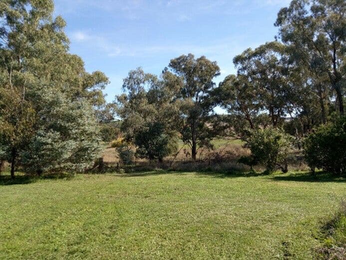16 Church Street, Cudal NSW 2864, Cudal - Thumbnail 4