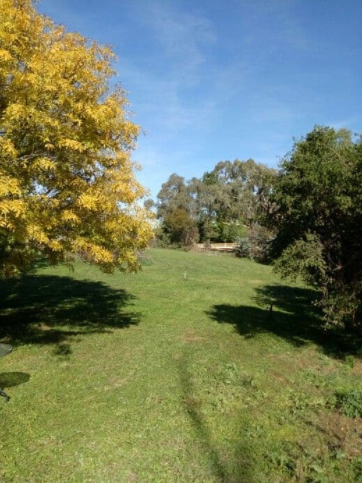 16 Church Street, Cudal NSW 2864, Cudal - Thumbnail 8