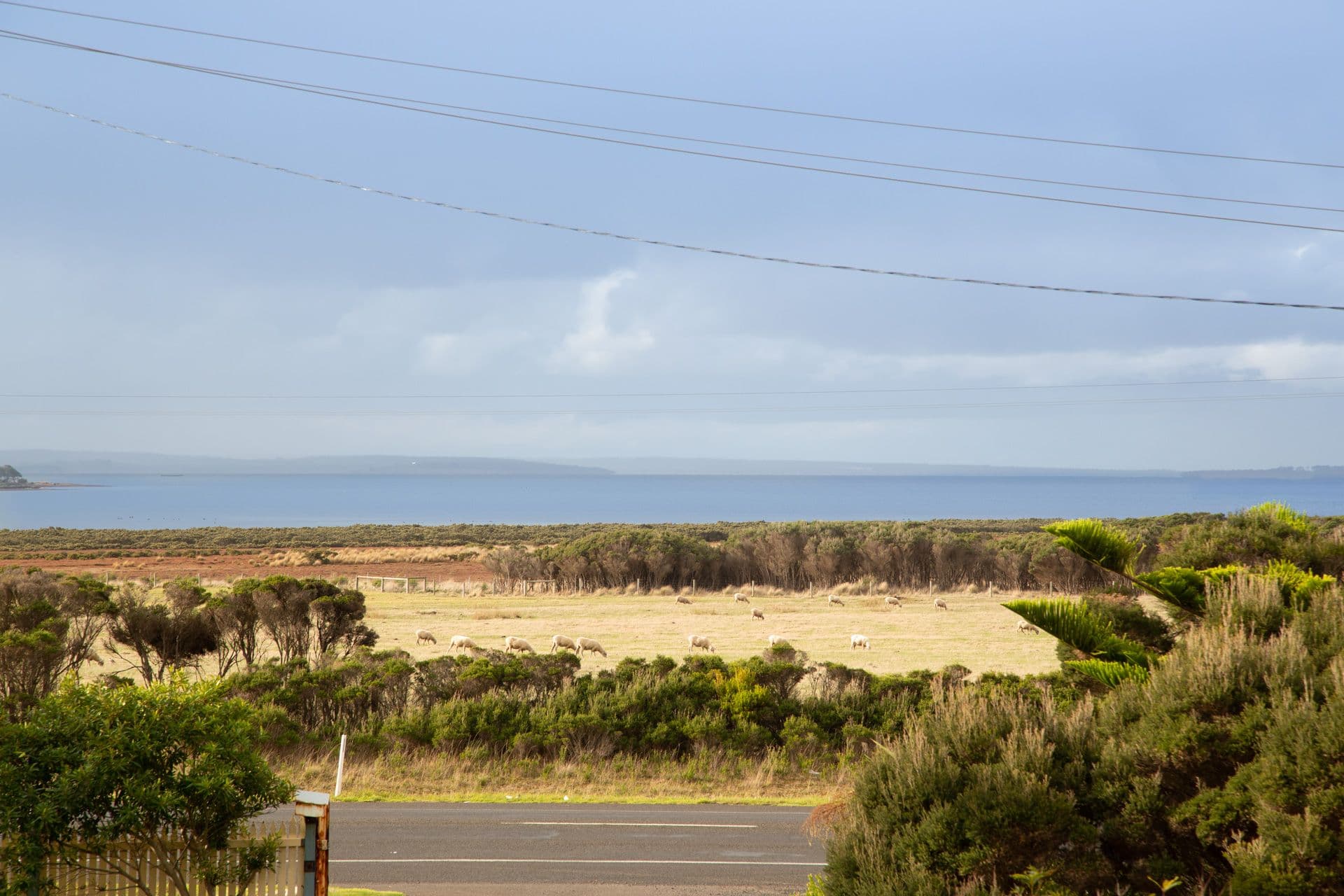 141 Phillip Island Road, Surf Beach VIC 3922, Surf Beach - Thumbnail 3