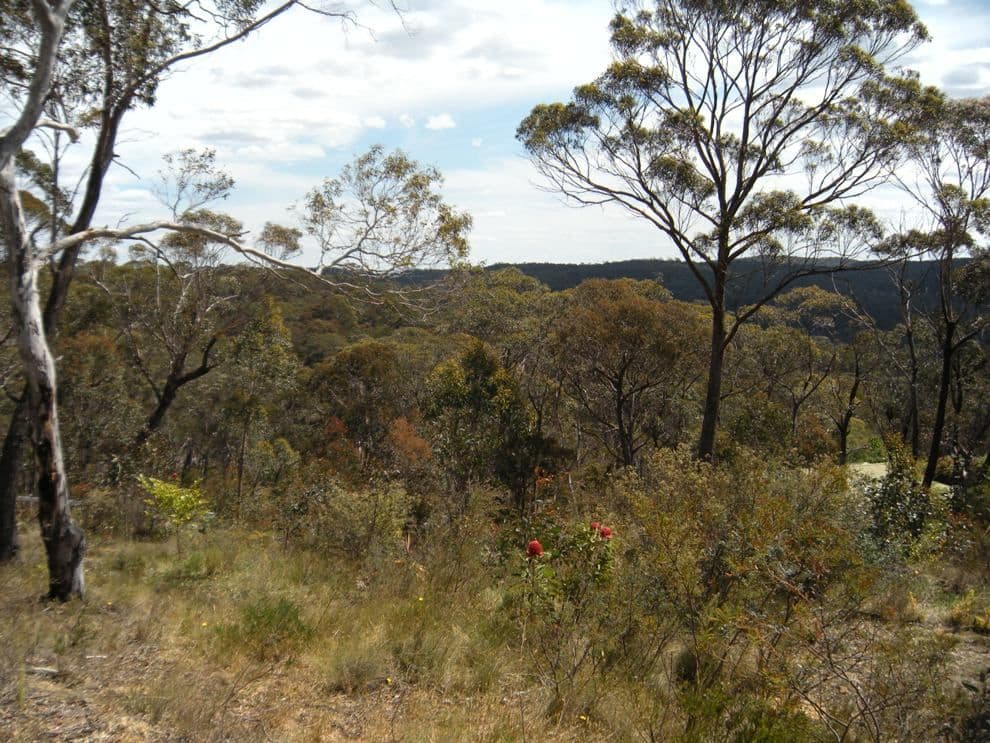 347 Chifley Road, DARGAN NSW 2786, Dargan - Thumbnail 2
