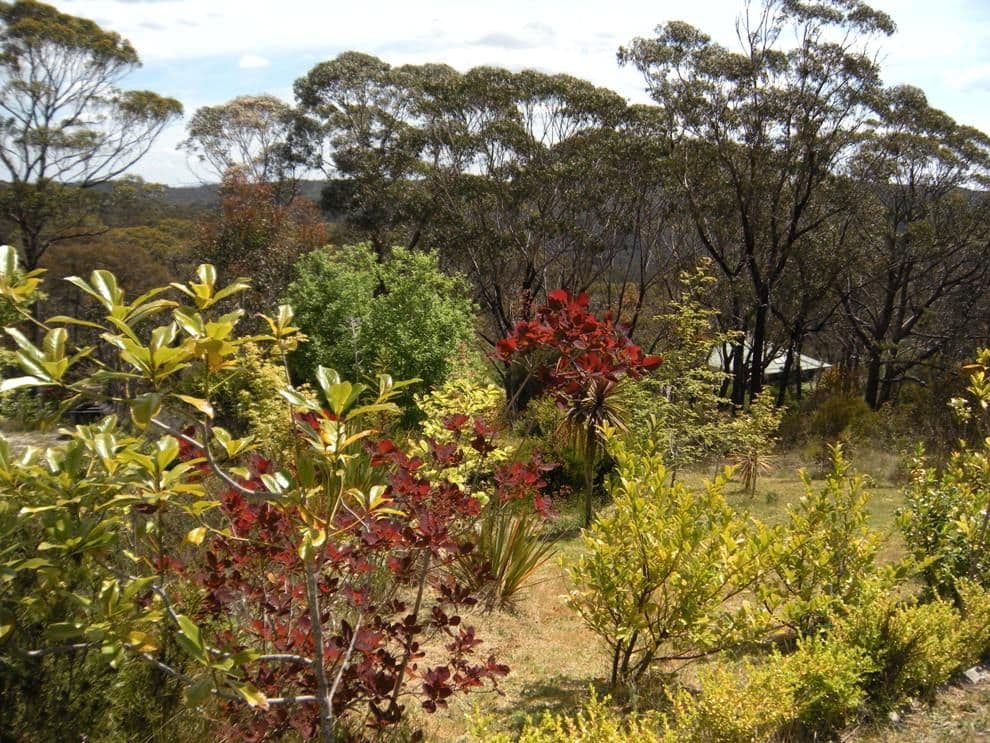 347 Chifley Road, DARGAN NSW 2786, Dargan - Thumbnail 3