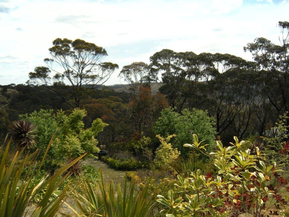 347 Chifley Road, DARGAN NSW 2786, Dargan - Thumbnail 4