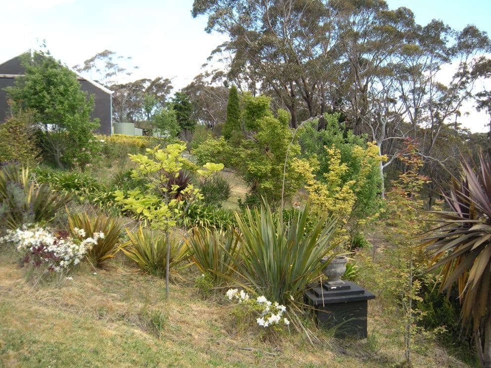 347 Chifley Road, DARGAN NSW 2786, Dargan - Thumbnail 6