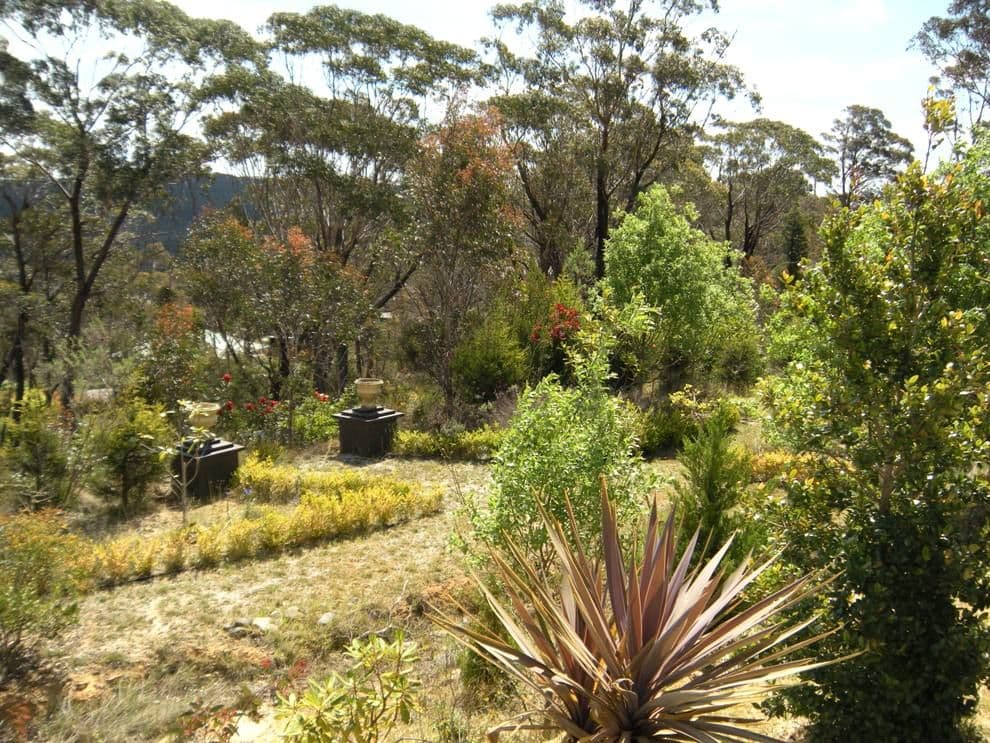 347 Chifley Road, DARGAN NSW 2786, Dargan - Thumbnail 7