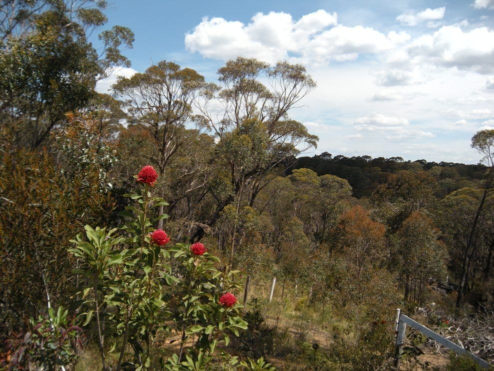 347 Chifley Road, DARGAN NSW 2786, Dargan - Thumbnail 8