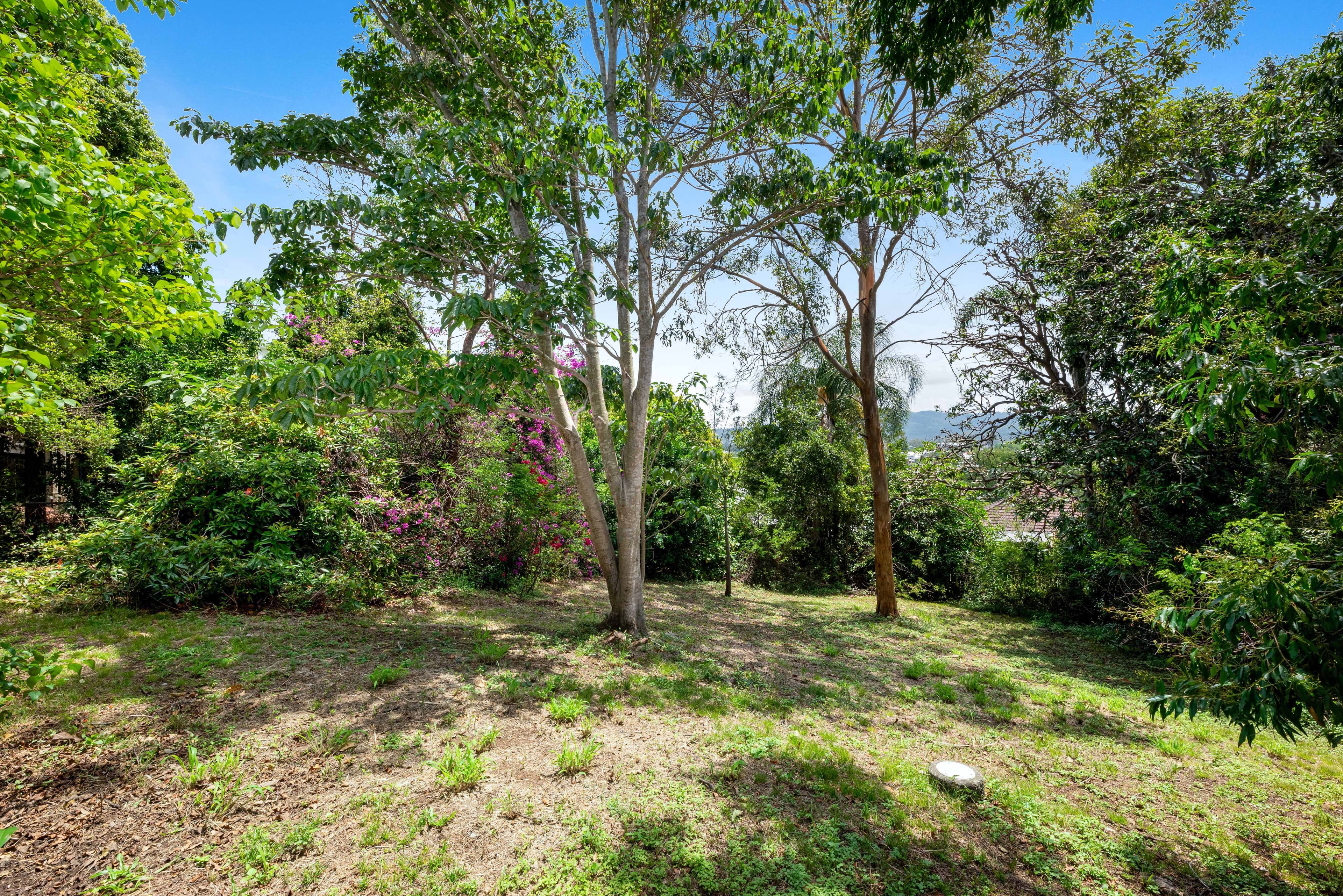 16 Quarry Road, Alderley QLD 4051, Alderley - Thumbnail 4