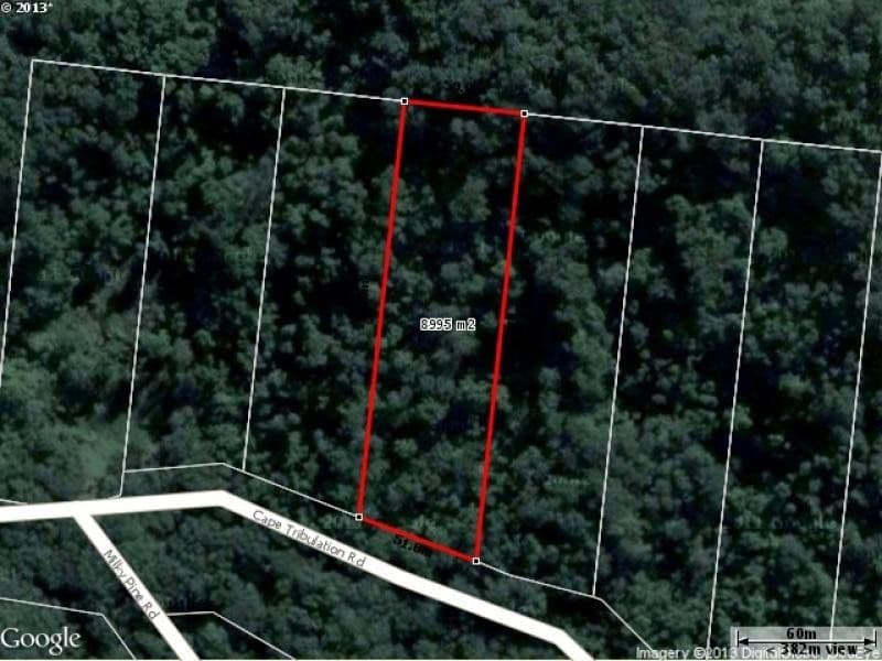 Lot 17 Cape Tribulation Road, DAINTREE QLD 4873, Daintree - Image 1