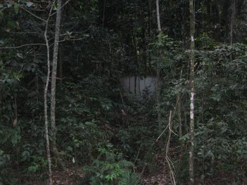 Lot 17 Cape Tribulation Road, DAINTREE QLD 4873, Daintree - Thumbnail 3