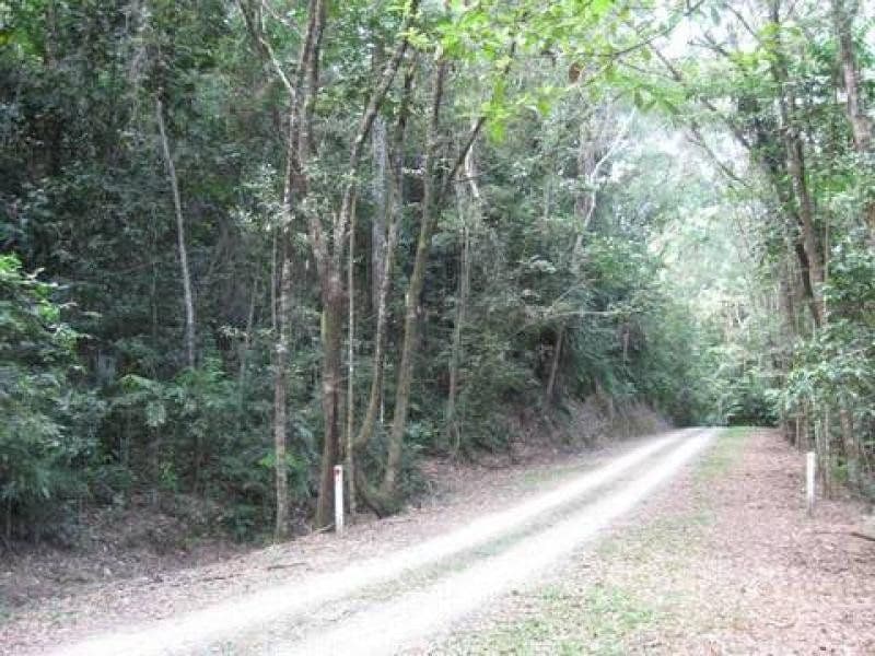 Lot 17 Cape Tribulation Road, DAINTREE QLD 4873, Daintree - Thumbnail 4