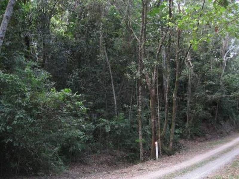 Lot 17 Cape Tribulation Road, DAINTREE QLD 4873, Daintree - Thumbnail 5