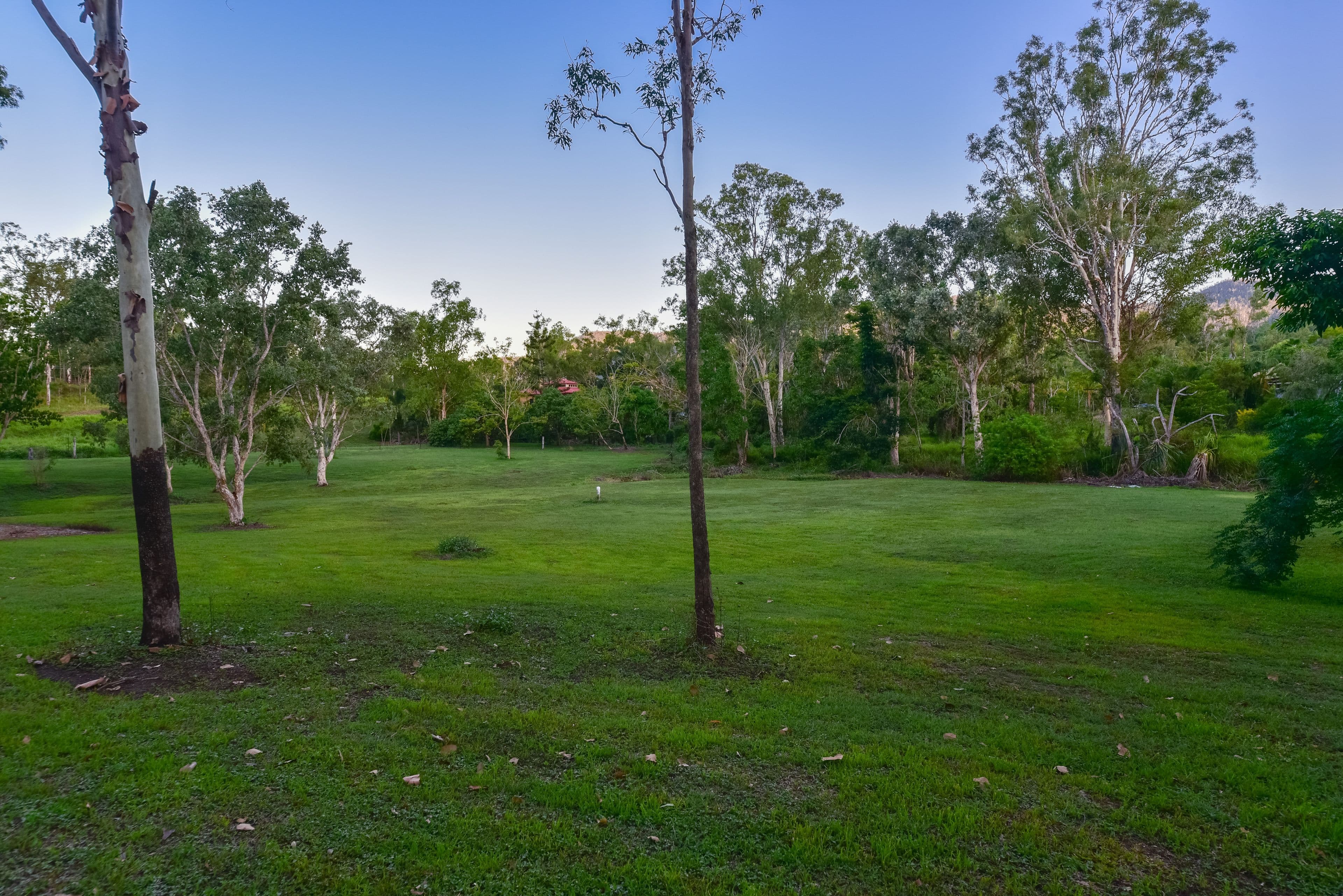 177 Paluma Road, Woodwark QLD 4802, Woodwark - Thumbnail 5