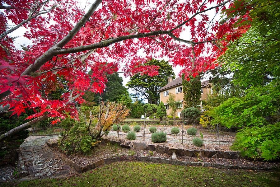 43 Inconstant Street, BLACKHEATH NSW 2785, Blackheath - Thumbnail 2