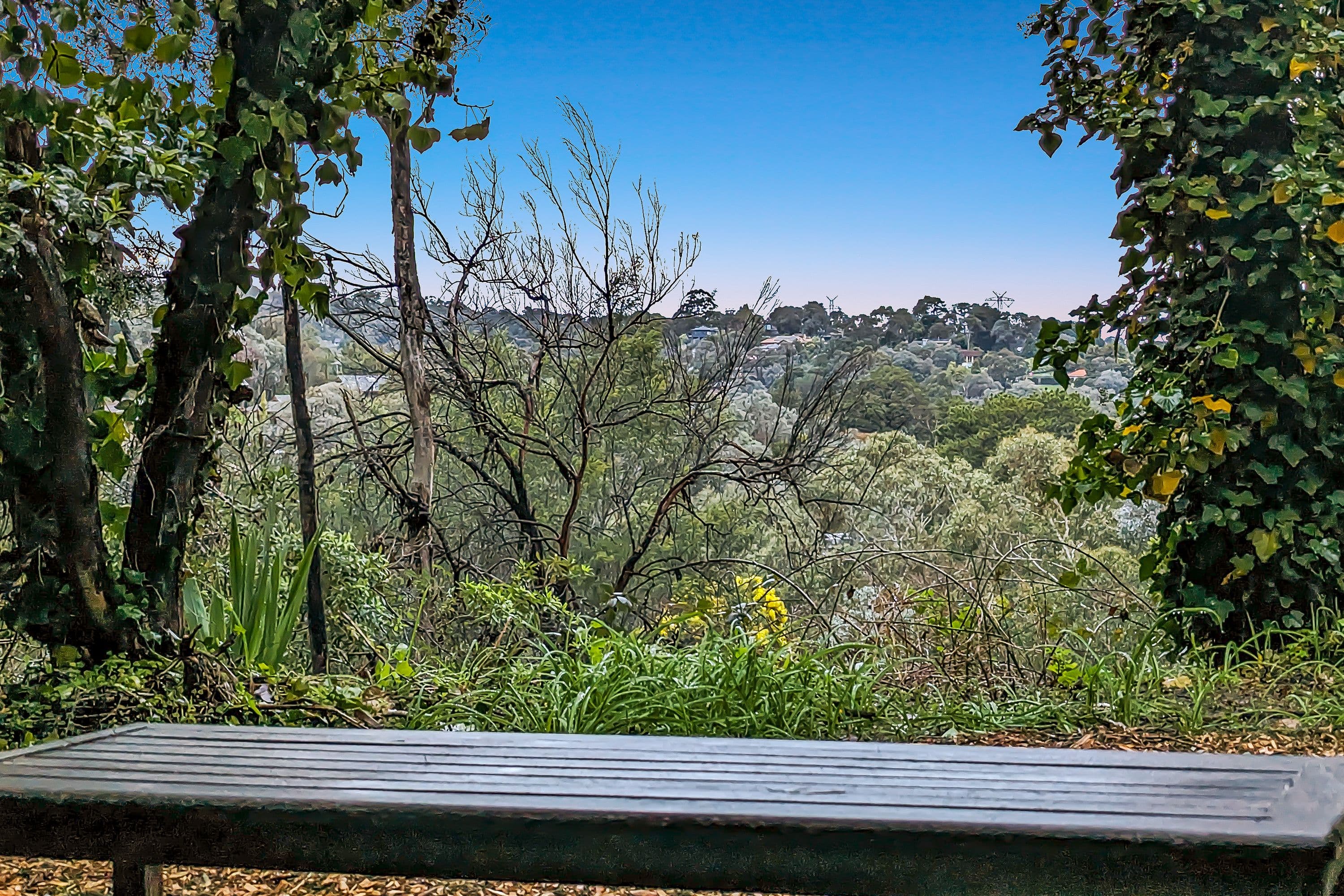 79 Smedley Road, Park Orchards VIC 3114, Park Orchards - Thumbnail 6