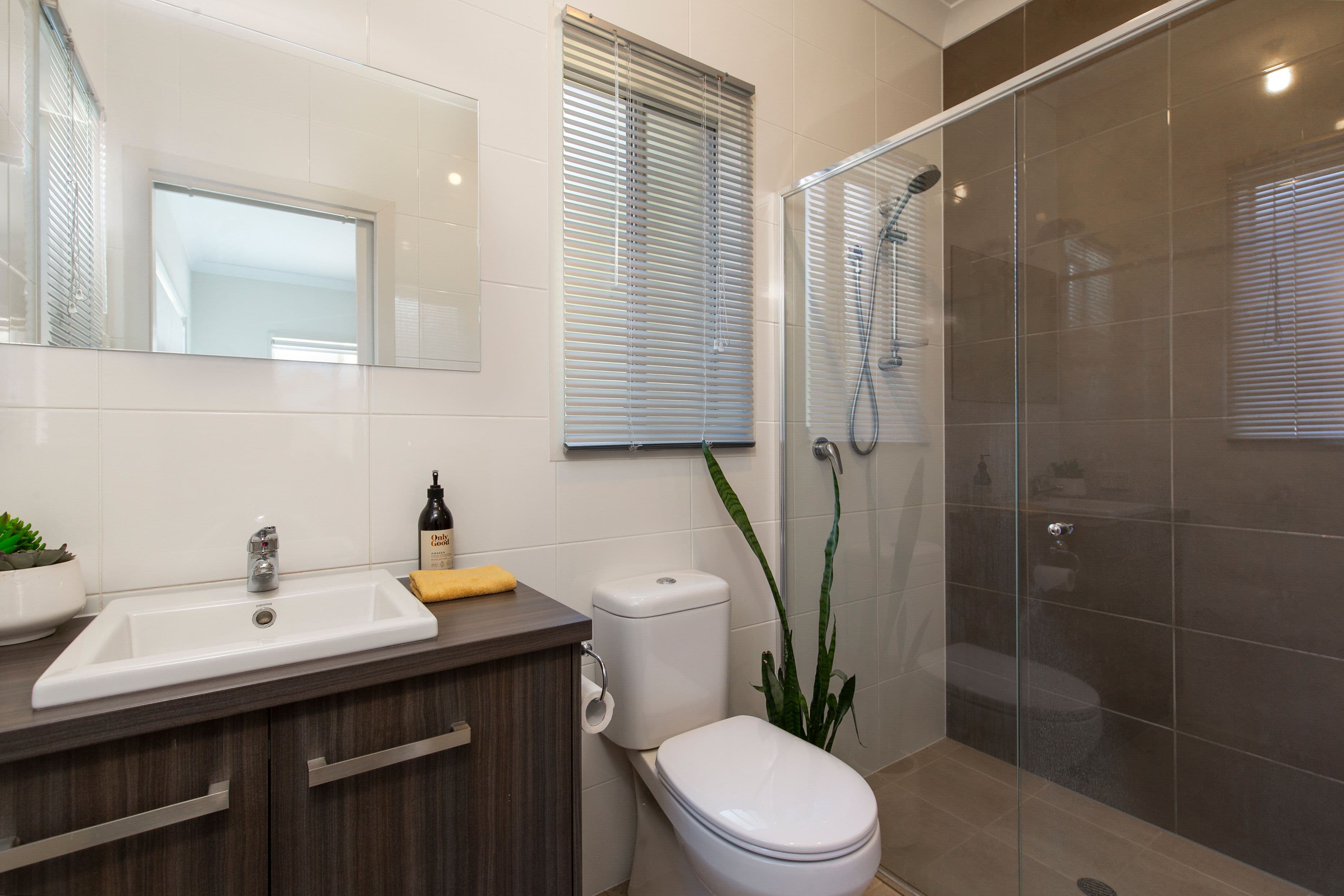 33a Park Terrace, Plympton Park SA 5038, Plympton Park - Thumbnail 8