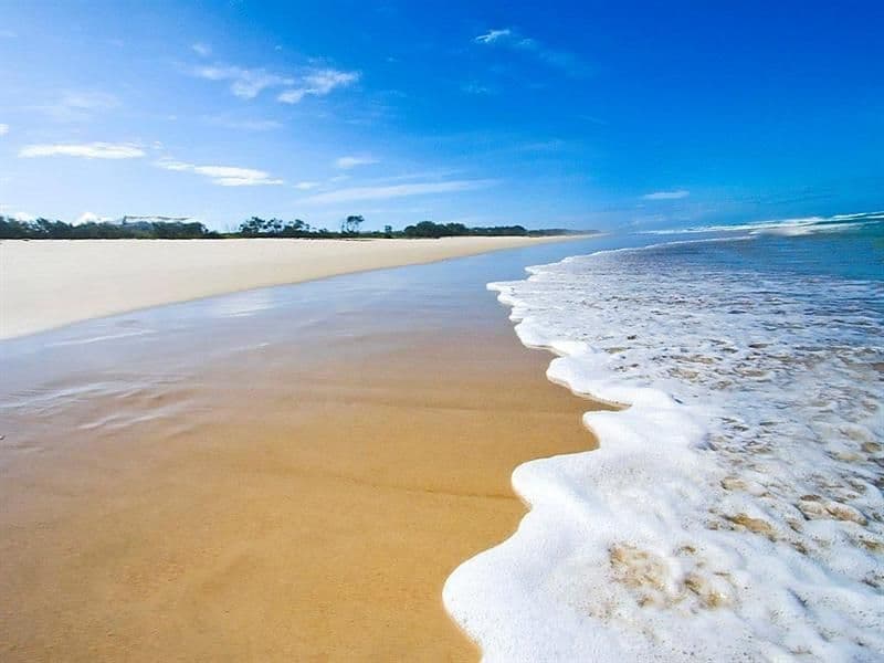 7 Cottonwood Lane, Casuarina NSW 2487, Casuarina - Thumbnail 2