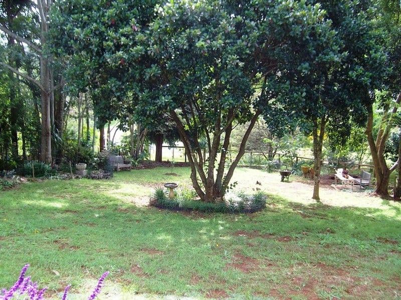 5 Dapsang Drive, EAGLE HEIGHTS QLD 4271, Eagle Heights - Thumbnail 7
