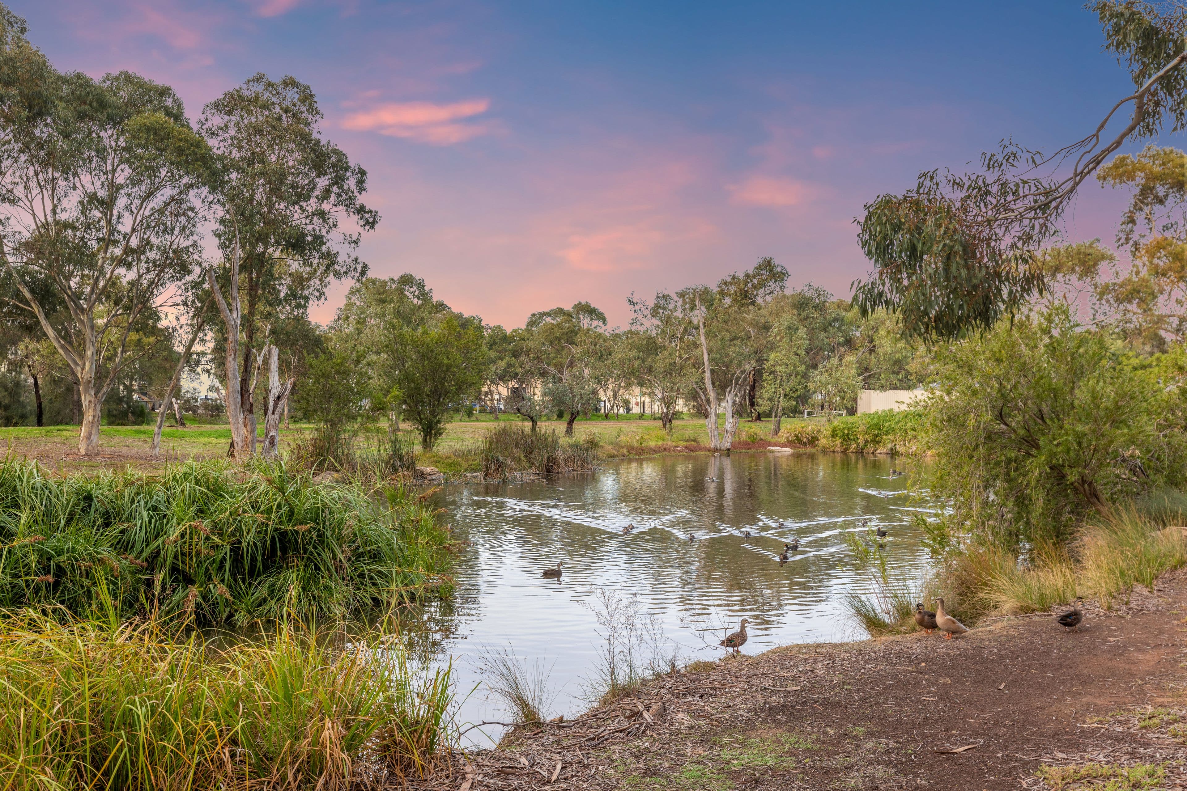 9 Mitchinson Grove, Pooraka SA 5095, Pooraka - Thumbnail 5