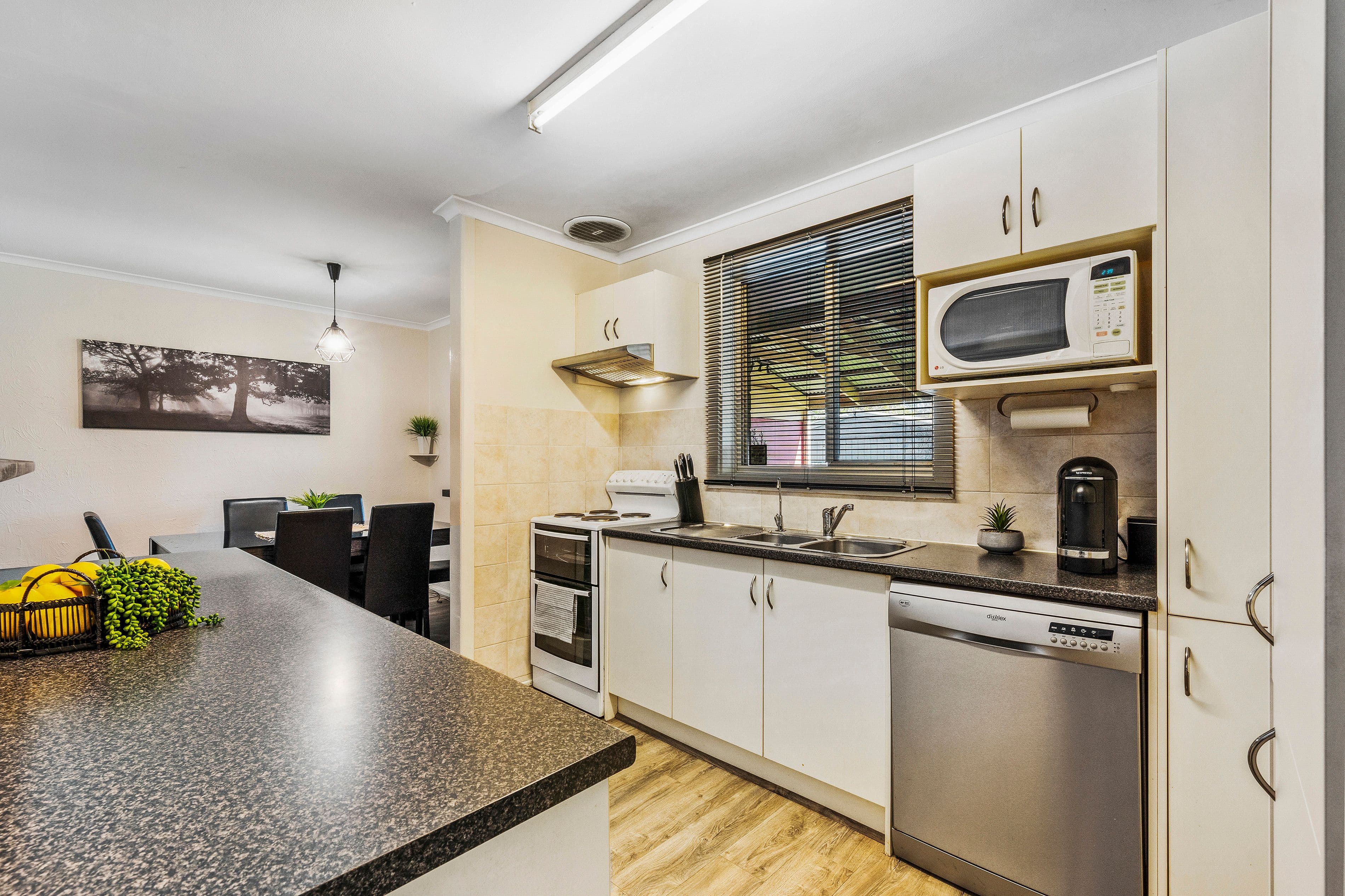 72 Campbell Road, Elizabeth Downs SA 5113, Elizabeth Downs - Thumbnail 5