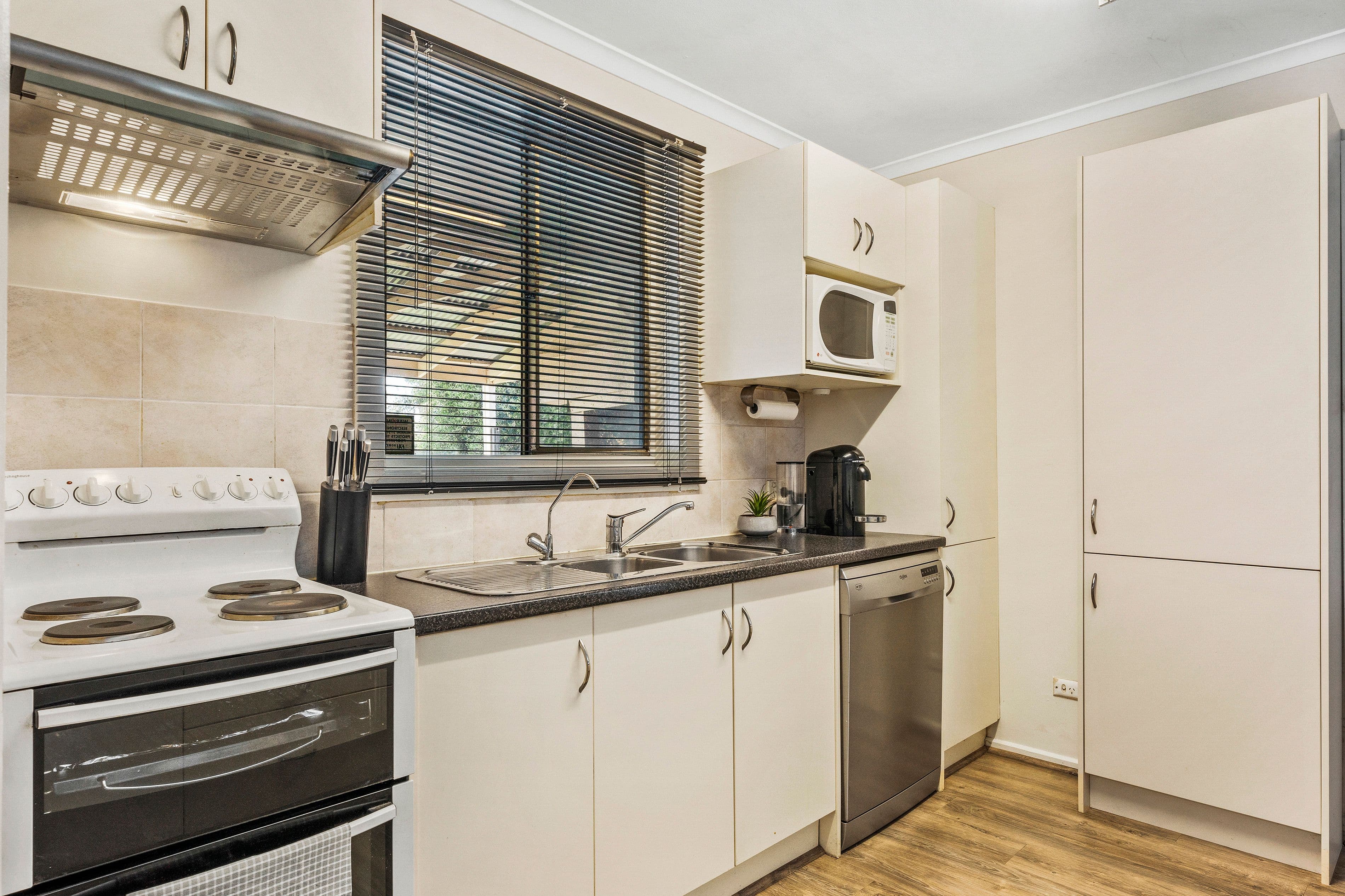 72 Campbell Road, Elizabeth Downs SA 5113, Elizabeth Downs - Thumbnail 6
