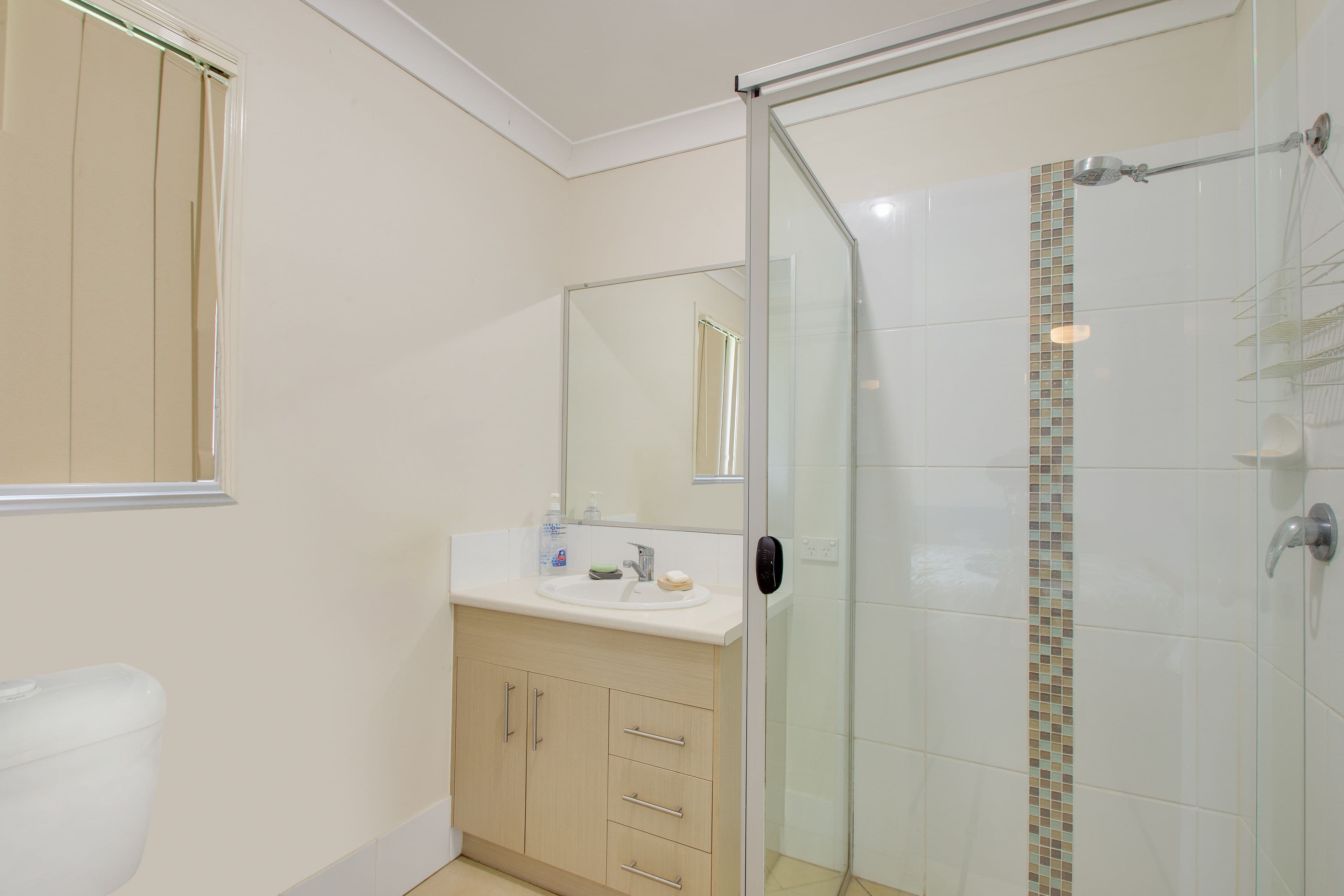 13 Lynch Street, Riverview QLD 4303, Riverview - Thumbnail 5