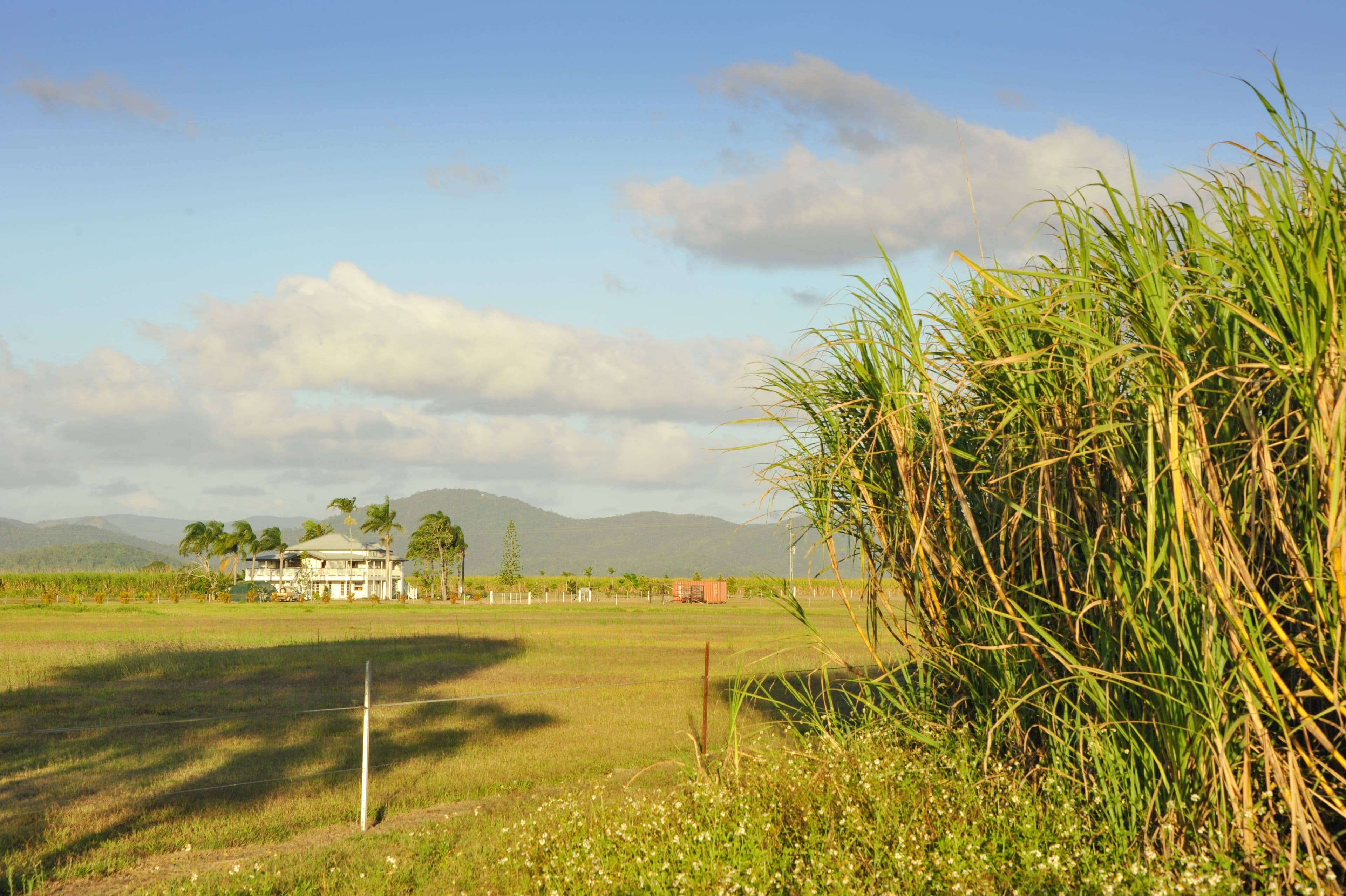 60 Casswell Road, Proserpine QLD 4800, Proserpine - Thumbnail 3