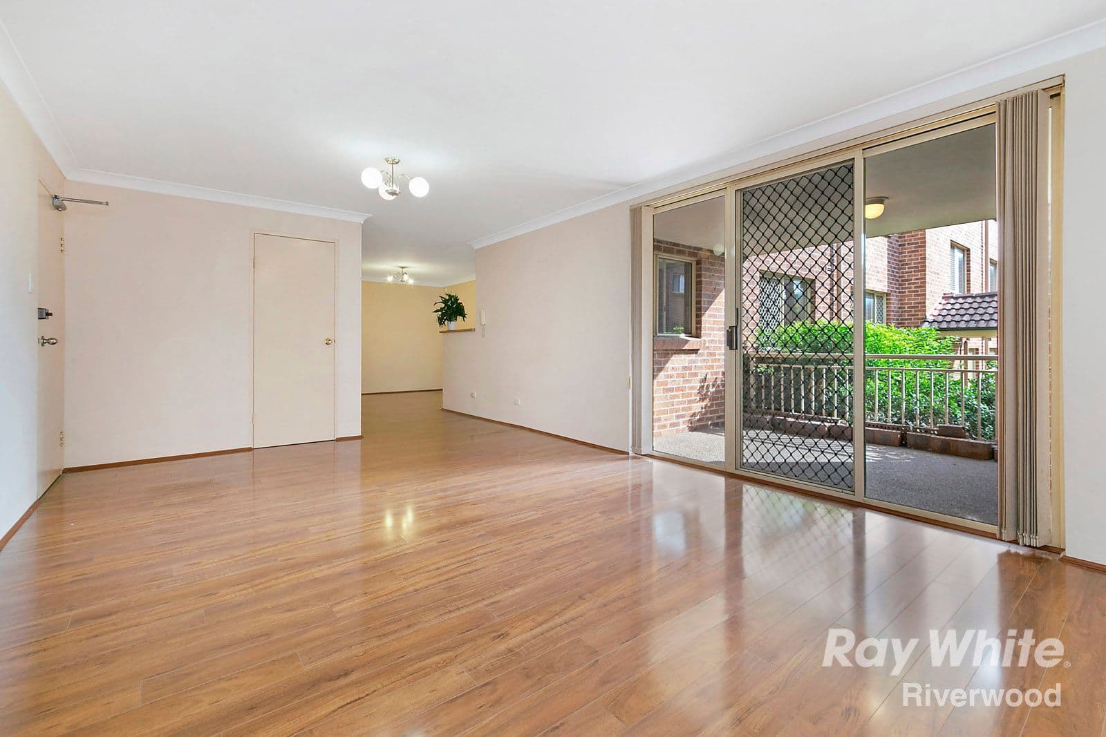 29 Littleton Street, Riverwood NSW 2210, Riverwood - Thumbnail 2