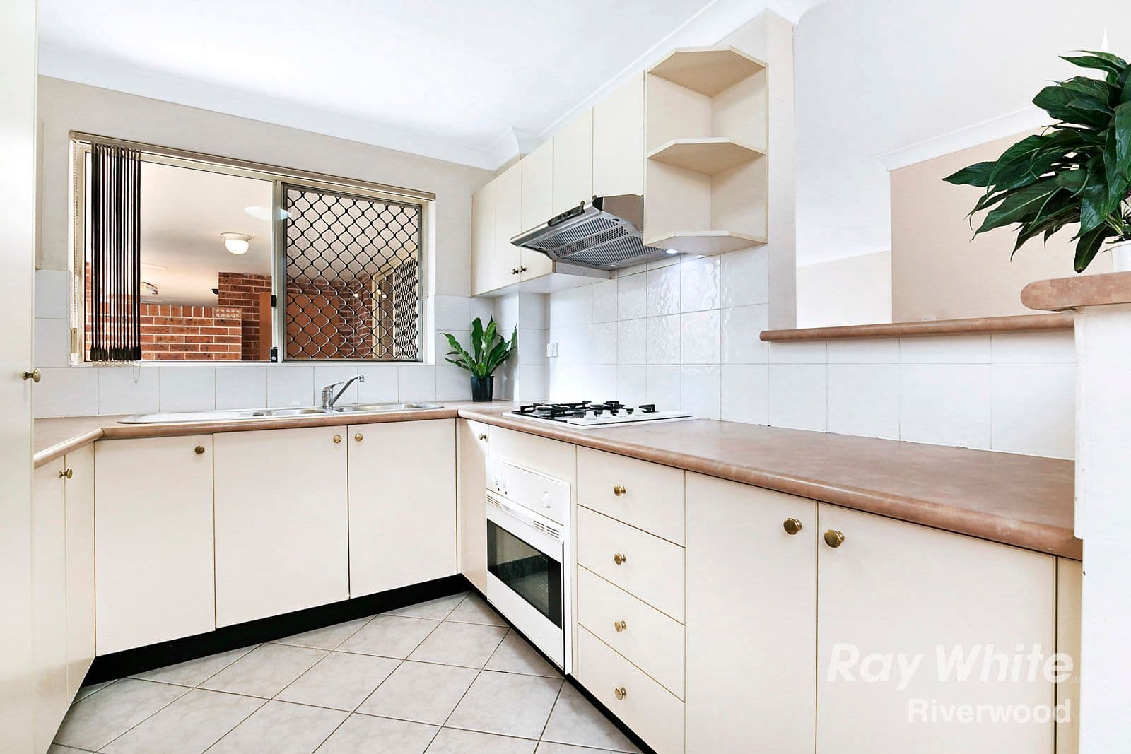 29 Littleton Street, Riverwood NSW 2210, Riverwood - Thumbnail 3