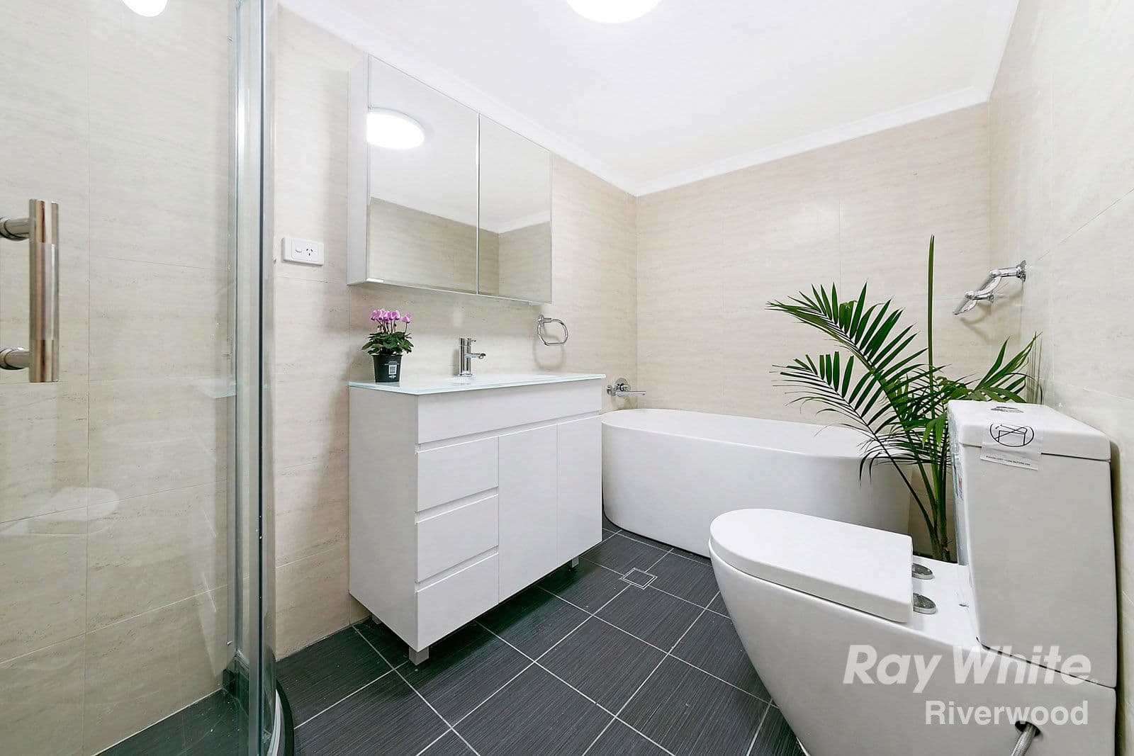 29 Littleton Street, Riverwood NSW 2210, Riverwood - Thumbnail 4