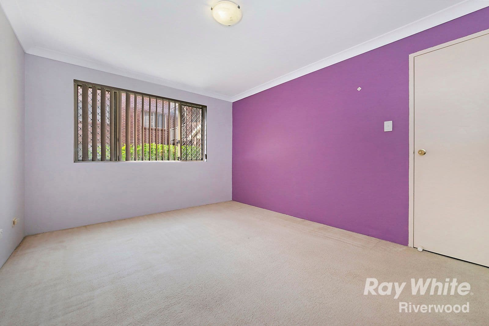 29 Littleton Street, Riverwood NSW 2210, Riverwood - Thumbnail 5