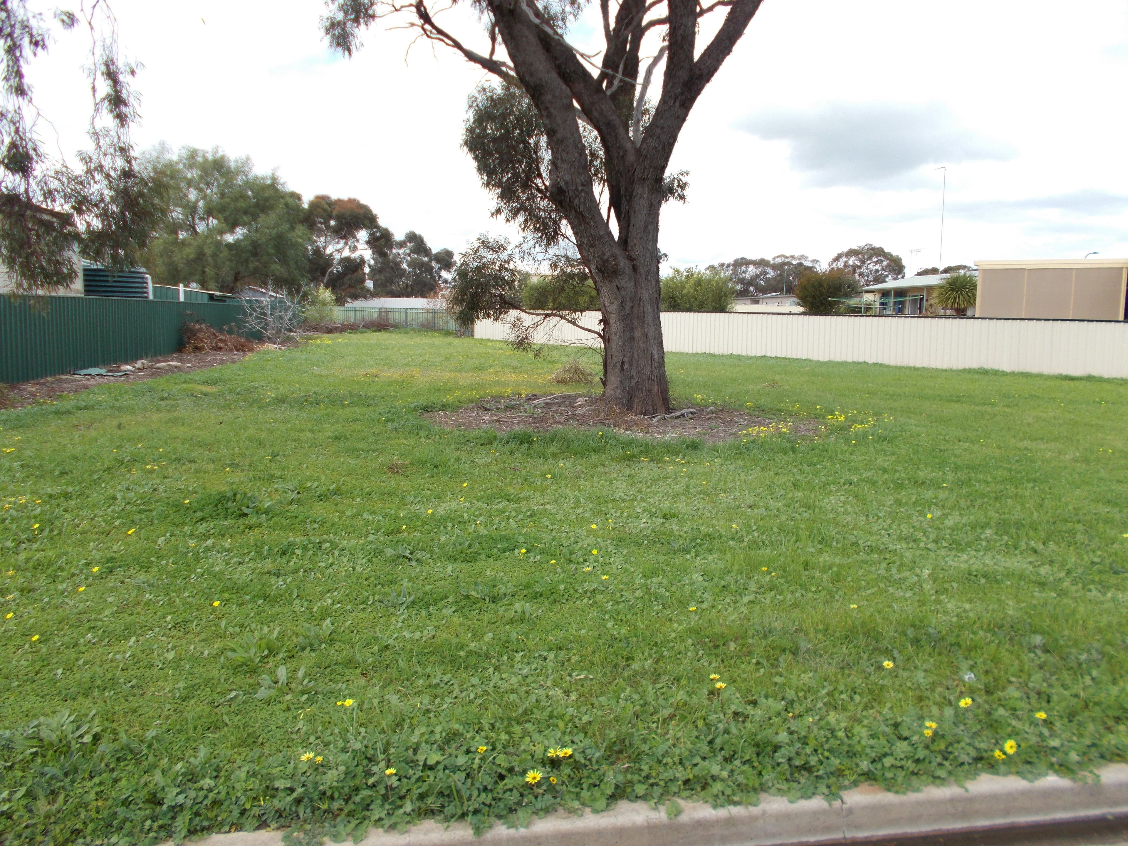 36 Densley Avenue, BORDERTOWN SA 5268, Bordertown - Thumbnail 3