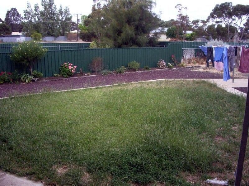 36 Densley Avenue, BORDERTOWN SA 5268, Bordertown - Thumbnail 4