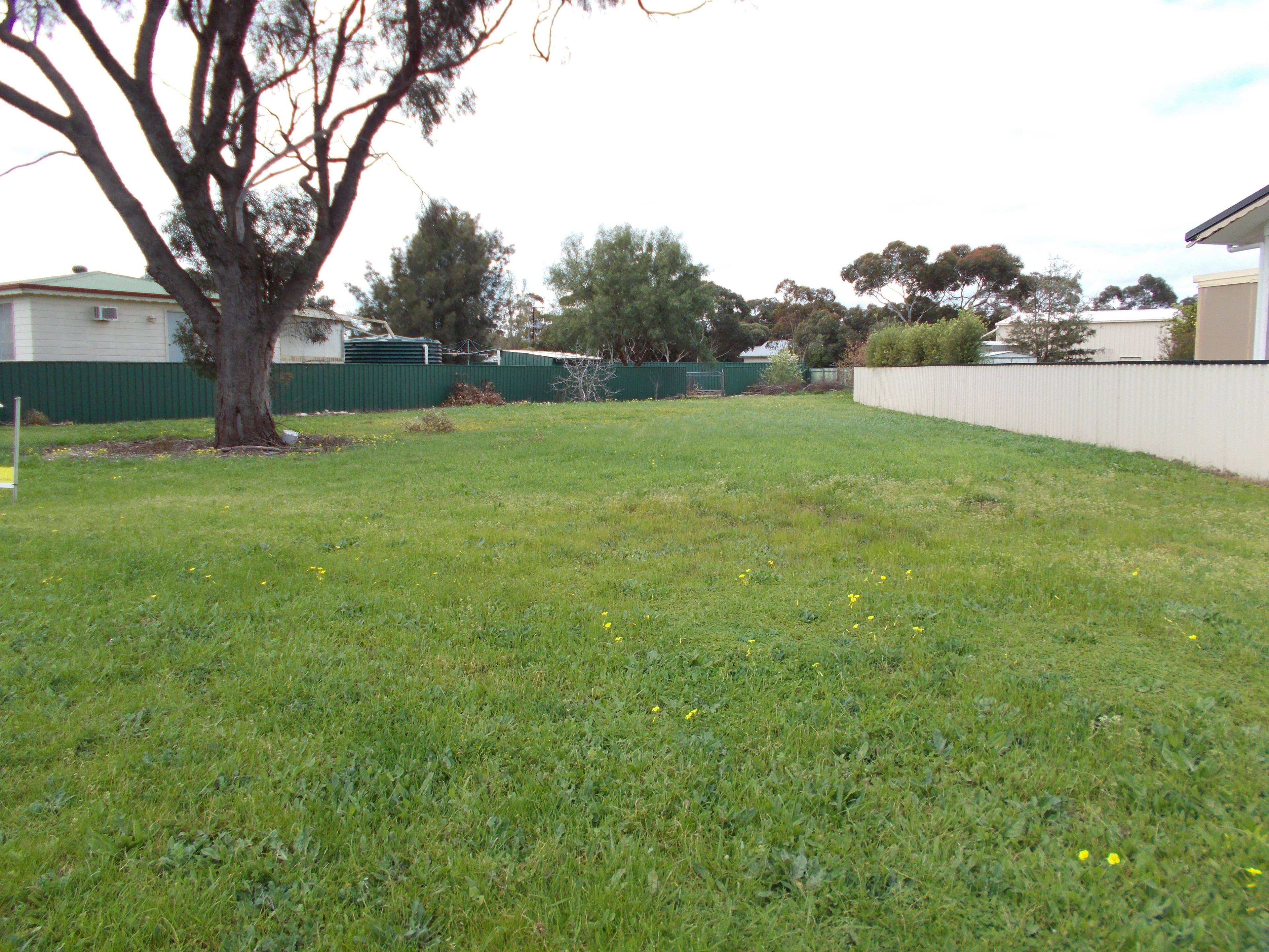 36 Densley Avenue, BORDERTOWN SA 5268, Bordertown - Thumbnail 7