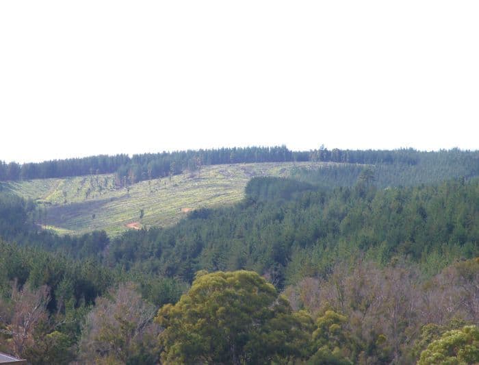 29 Dunnet Road, Nannup WA 6275, Nannup - Thumbnail 2