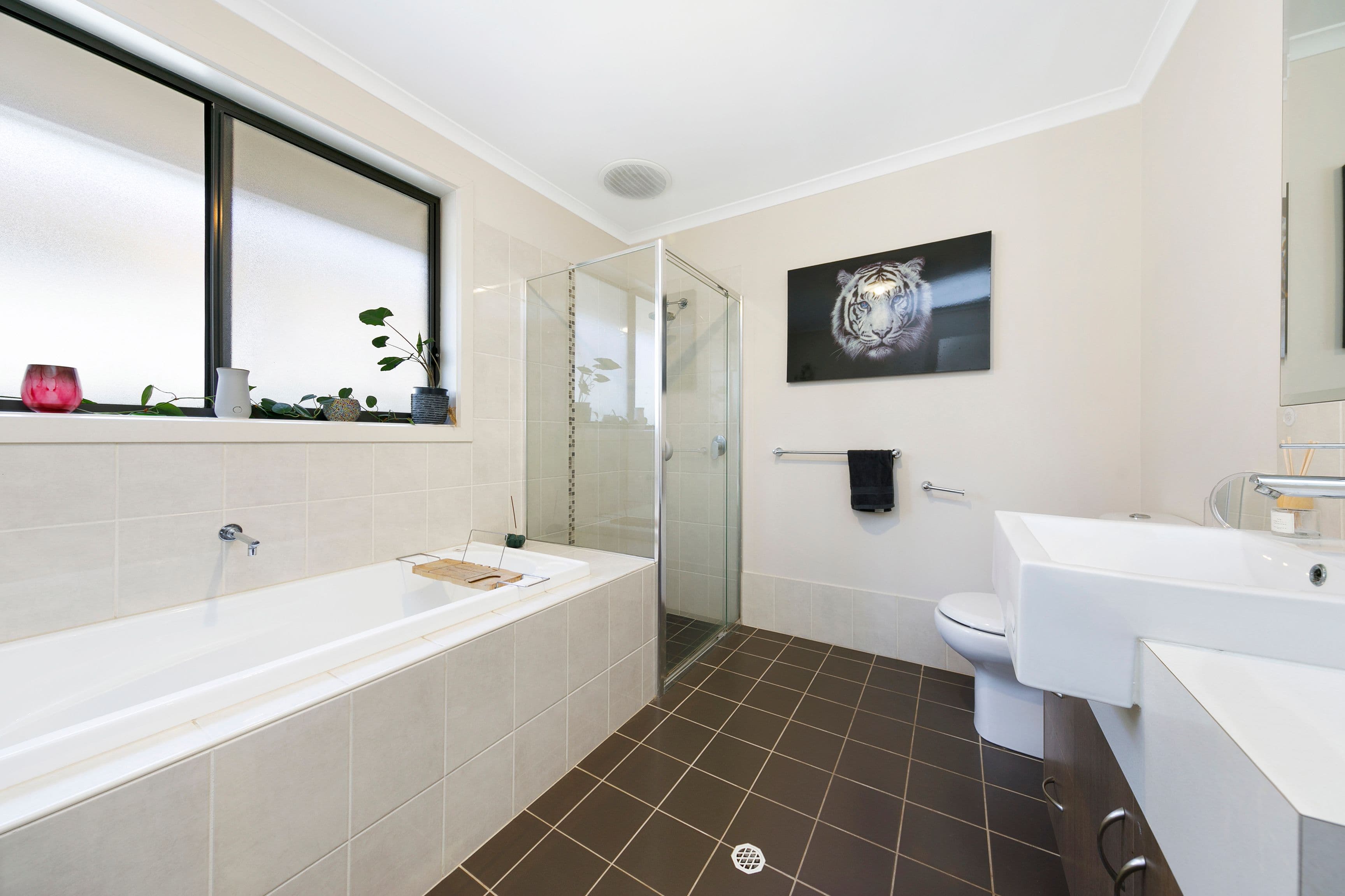 40 Serpentine Circuit, Andrews Farm SA 5114, Andrews Farm - Thumbnail 7