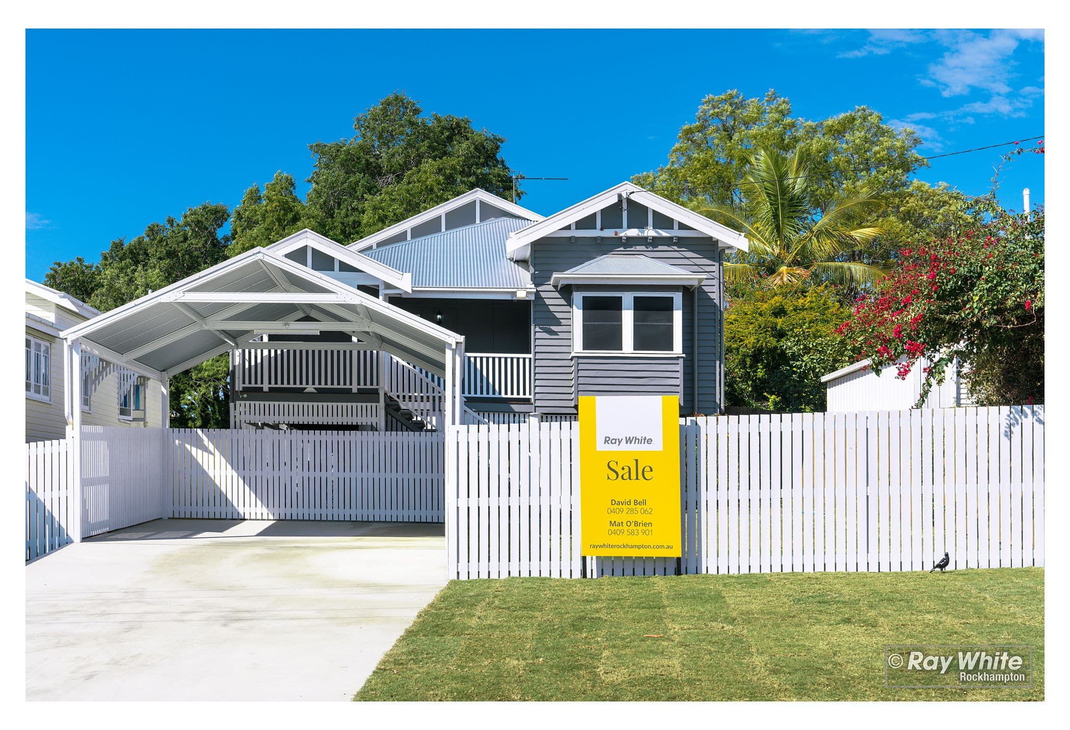 41 Norman Street, Wandal QLD 4700, Wandal - Thumbnail 2