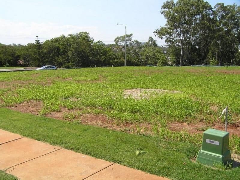 53 Settler Street, EIGHT MILE PLAINS QLD 4113, Eight Mile Plains - Thumbnail 2