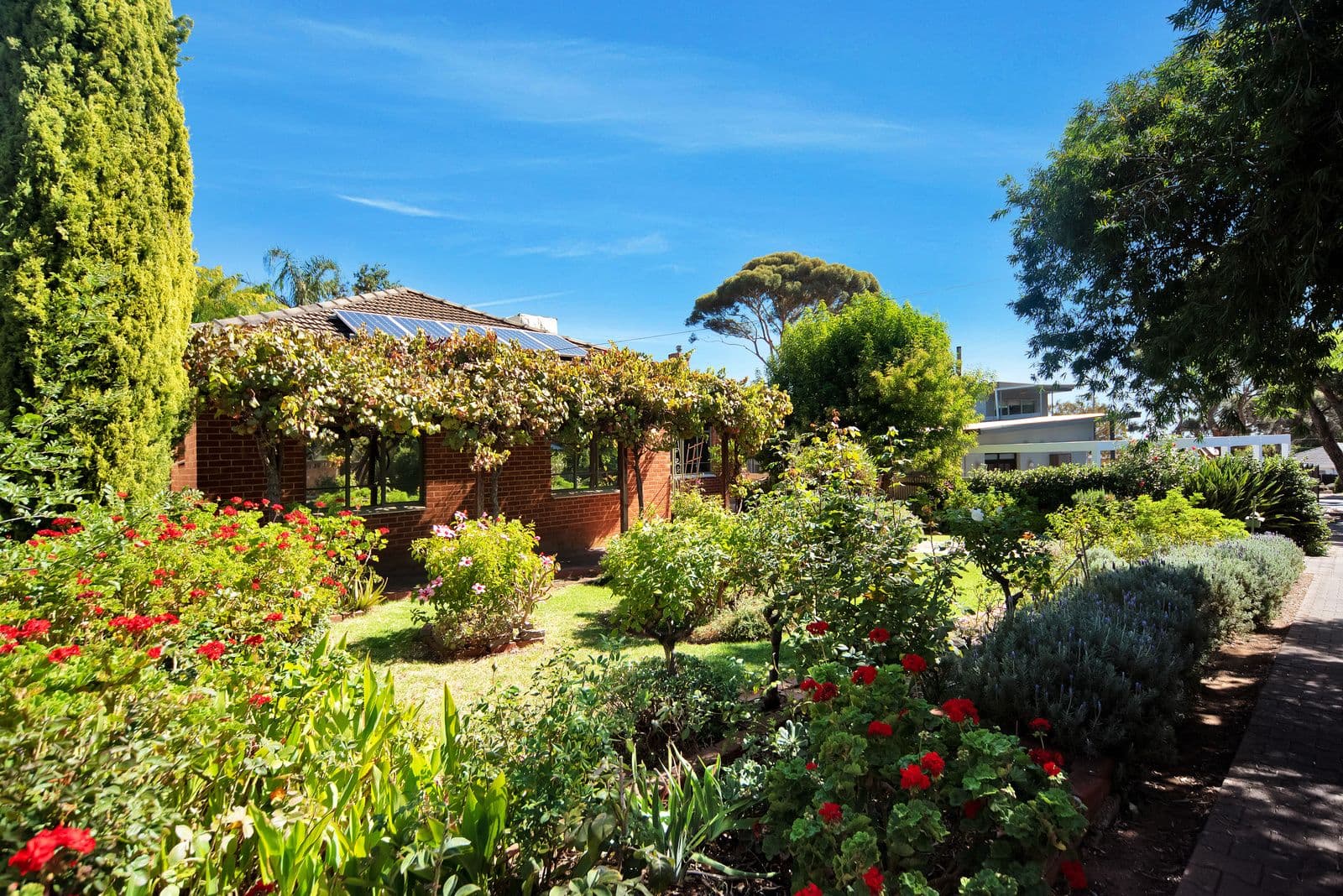 4 Columbia Avenue, Clapham SA 5062, Clapham - Thumbnail 2