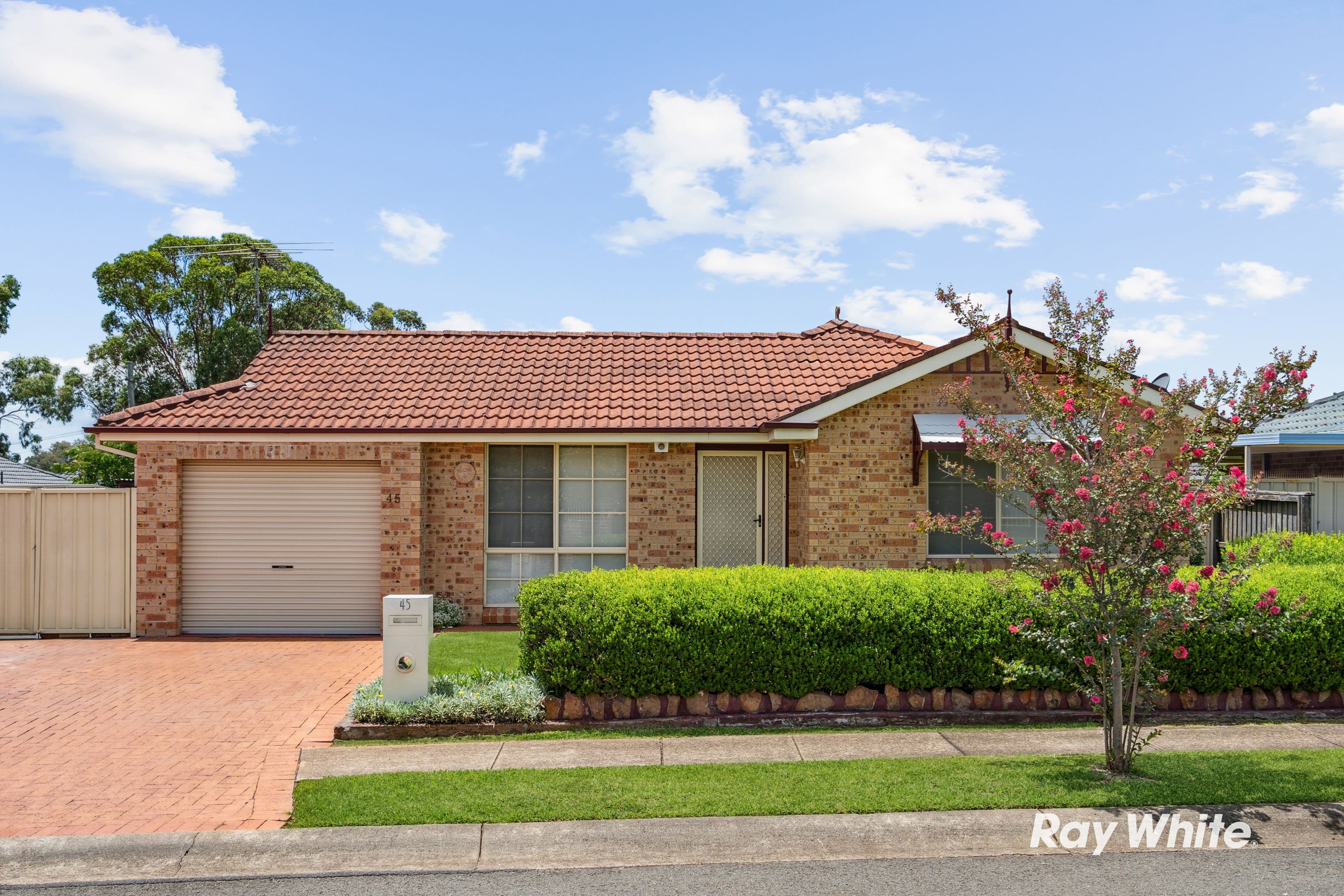 45 Rathmore Circuit, Glendenning NSW 2761, Glendenning - Image 1