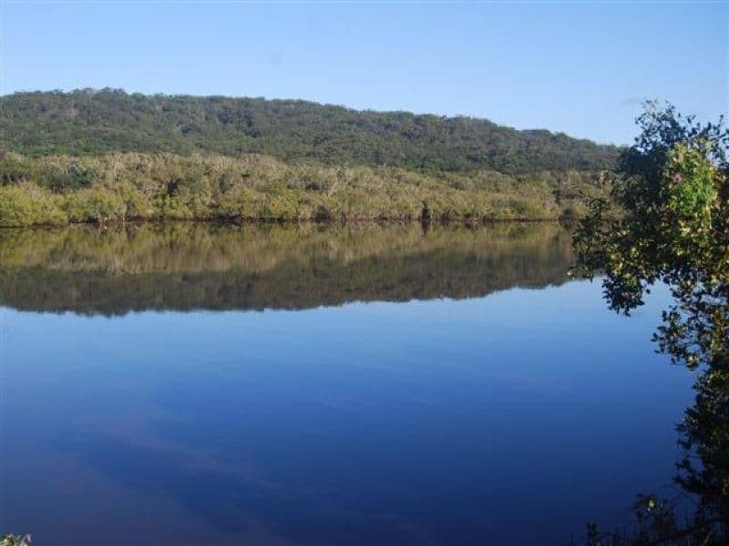 21 Tweed Coast Road, HASTINGS POINT NSW 2489, Hastings Point - Thumbnail 5