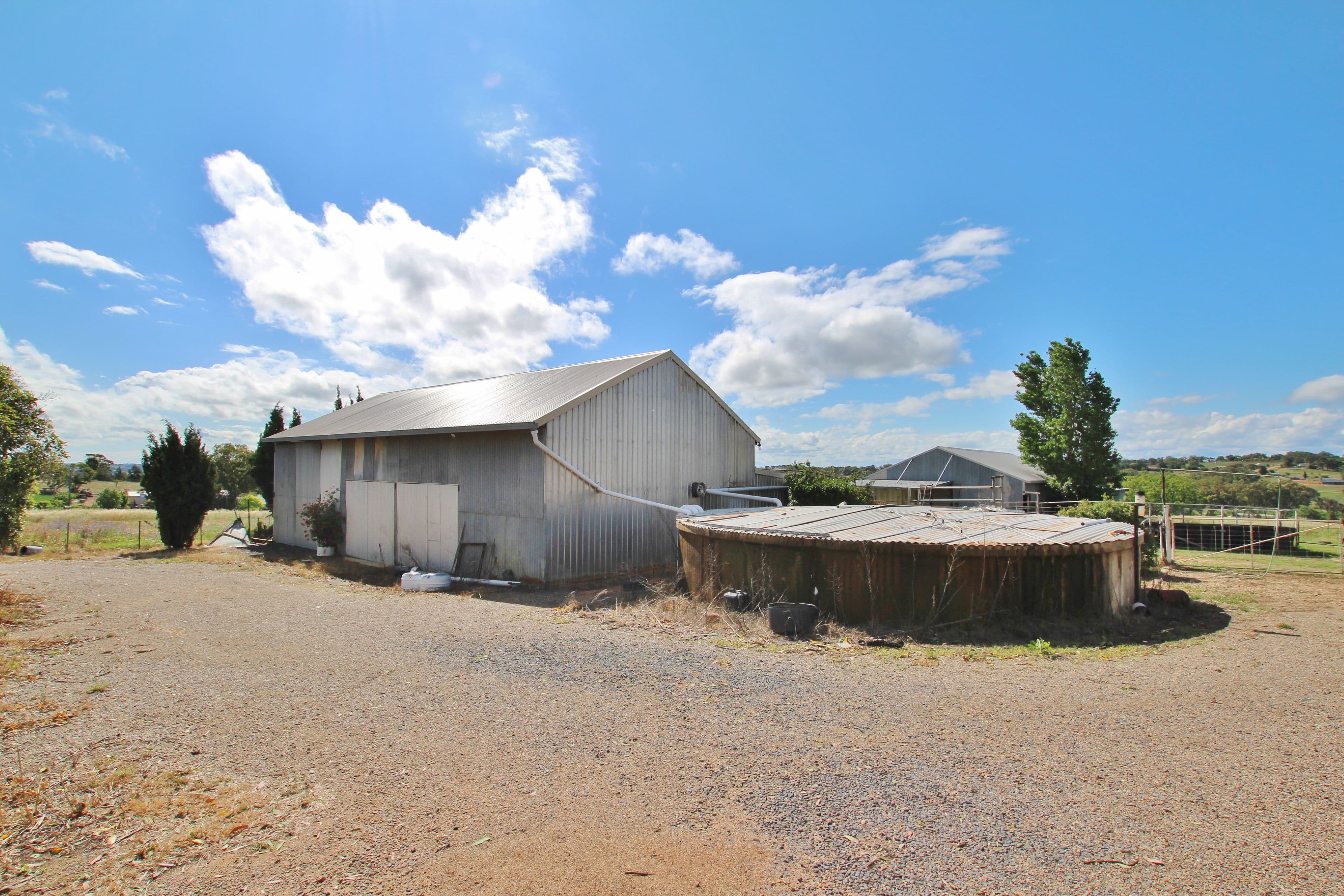 4198 Murringo Road, Young NSW 2594, Young - Thumbnail 4